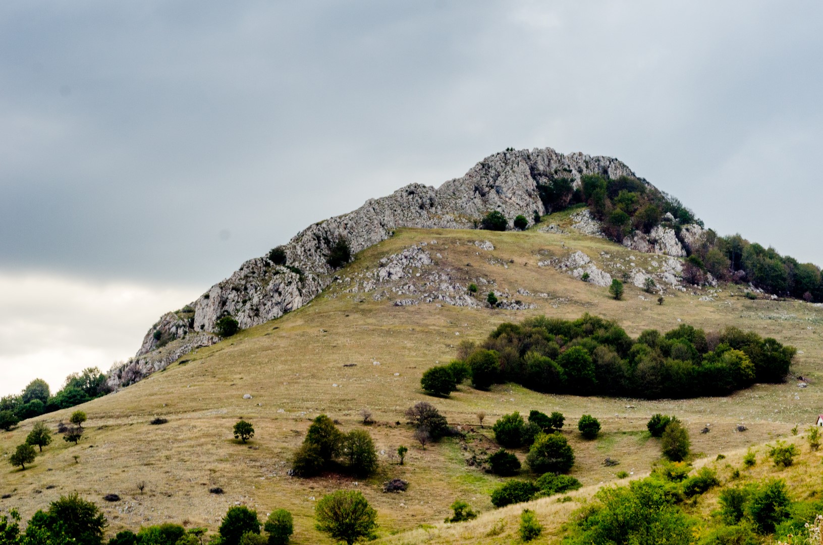 Cetatea dacică de la Piatra Craivii